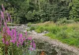 Vodatent Camping Vallee de L'Our foto 10
