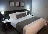 LaiLa Hotel CDMX foto 13