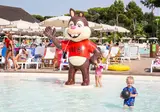 Camping hu Park Albatros Village foto 7