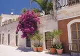 Authentiek Sicilië in agriturismo foto 2