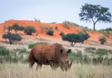 Zuid-Afrika in stijl foto 6