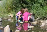 Camping La Grand Terre foto 24