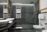 Hotel Lac Salin Spa & Mountain Resort foto 3