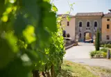 Castel Monastero foto 30