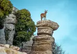 Paradores en Ambiance in Andalusië foto 3