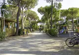 Camping Del Forte foto 8