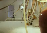 Riad Dar Zaya foto 12