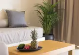 Villa di Mare foto 29