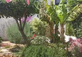 El Capistrano Sur foto 20