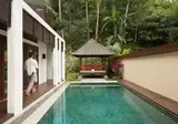 The Samaya Ubud Bali foto 16