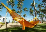 Viva V Samana by Wyndham, A Trademark Adults All Inclusive foto 3