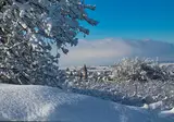 Kerst in het Zwarte Woud, Endingen foto 19