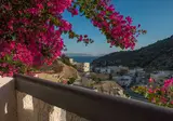 Fevro foto 25