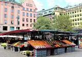 Explore Serene Sweden foto 5