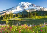 Explore the Scenic Pacific Northwest foto 4