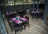 LaiLa Hotel CDMX foto 5