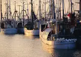Denemarken op het gemak foto 7