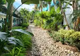 CoCo Key Hotel & Water Resort foto 15