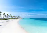 Joy Island foto 23