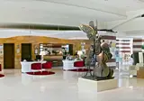 Flamingo Grand Hotel & Spa foto 22