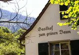 Landgasthof Grüner Baum foto 17