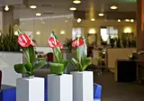 Novotel Caserta Sud foto 2