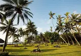Neptune Village Beach Resort & Spa foto 9