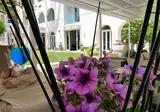 Il Piccolo Giardino foto 9