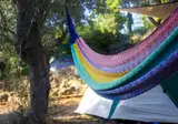 Gitavillage Talamone foto 33