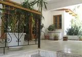 Ostria foto 2