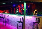 Green Palm foto 15
