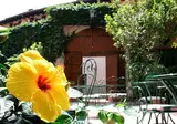 San Filis foto 4
