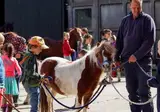 Vodatent Boerderijcamping de Hinde foto 1