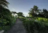 Quinta Funchal Gardens - Adults Only foto 27