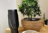 Eora Studio foto 16