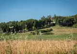 Hotel Villa Montegranelli foto 9