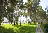 FV Hotels La Praya foto 27