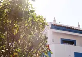 Oasis Beach Apartments foto 9