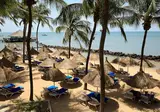 Hôtel Palm Beach foto 5
