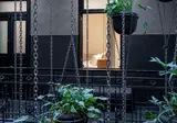 Umbral Curio Collection By Hilton foto 21