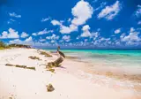 Cruise van Curaçao naar IJmuiden foto 4