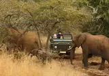 Wonderlik Suid-Afrika foto 6