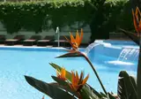Hotel Acapulco foto 12
