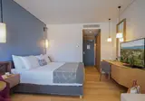 Apollonion Asterias Resort & Spa foto 5