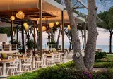 Acanthus Cennet Barut Collection foto 3