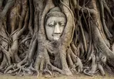 Thailand Compleet foto 8