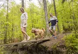 Ardennen Camping Bertrix foto 24