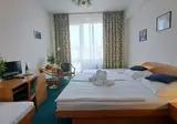 Hotel Legie foto 1