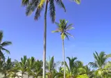 Baraza Resort & Spa foto 13