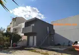 Zinovia foto 3